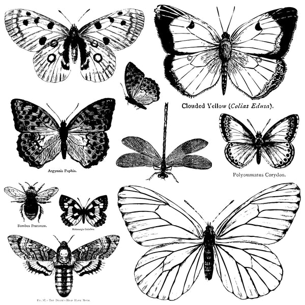 Butterflies IOD Décor Stamp