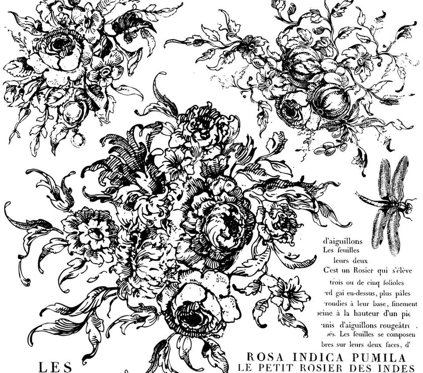 Rose Toile IOD Décor Stamp