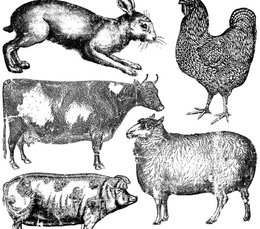 Farm Animals IOD Décor Stamp