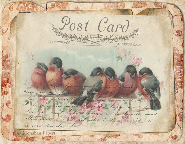 Red Damask Bird Gathering (015) X271