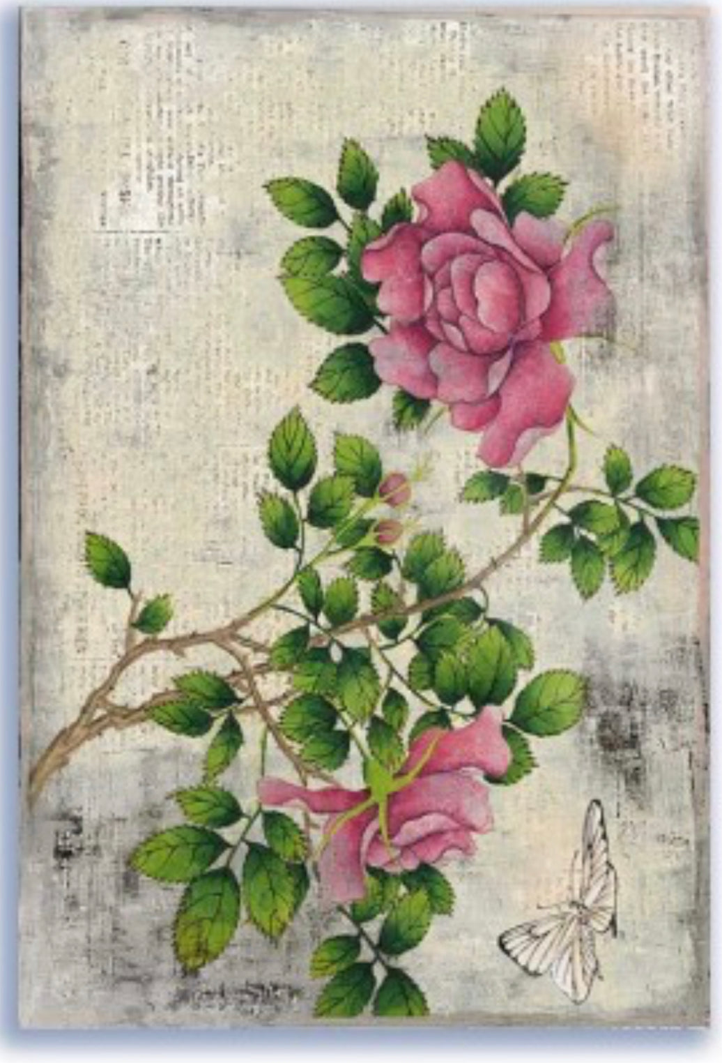 Vintage Deep Pink Roses