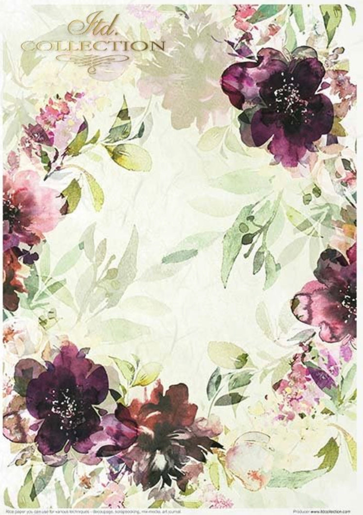 Garden of Dreams, pack of 11 size A4