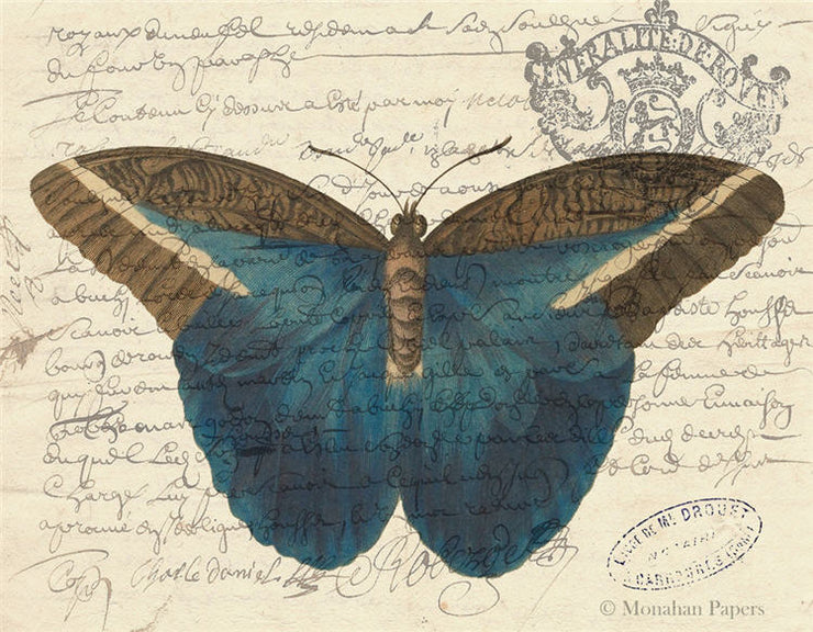 Indigo Butterfly  X488