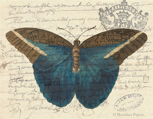 Indigo Butterfly X488