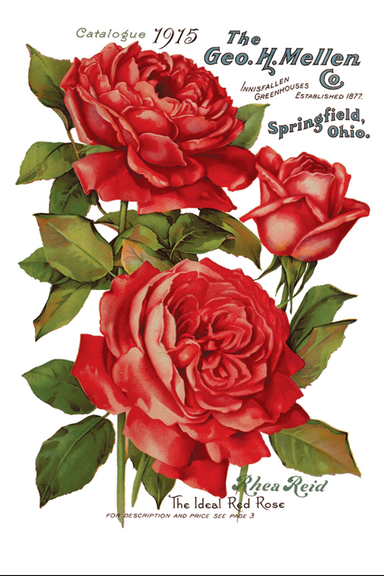 Ephemeral Melange IOD Transfer