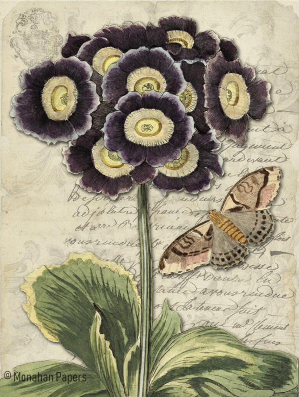 Botanical (035) BOT120