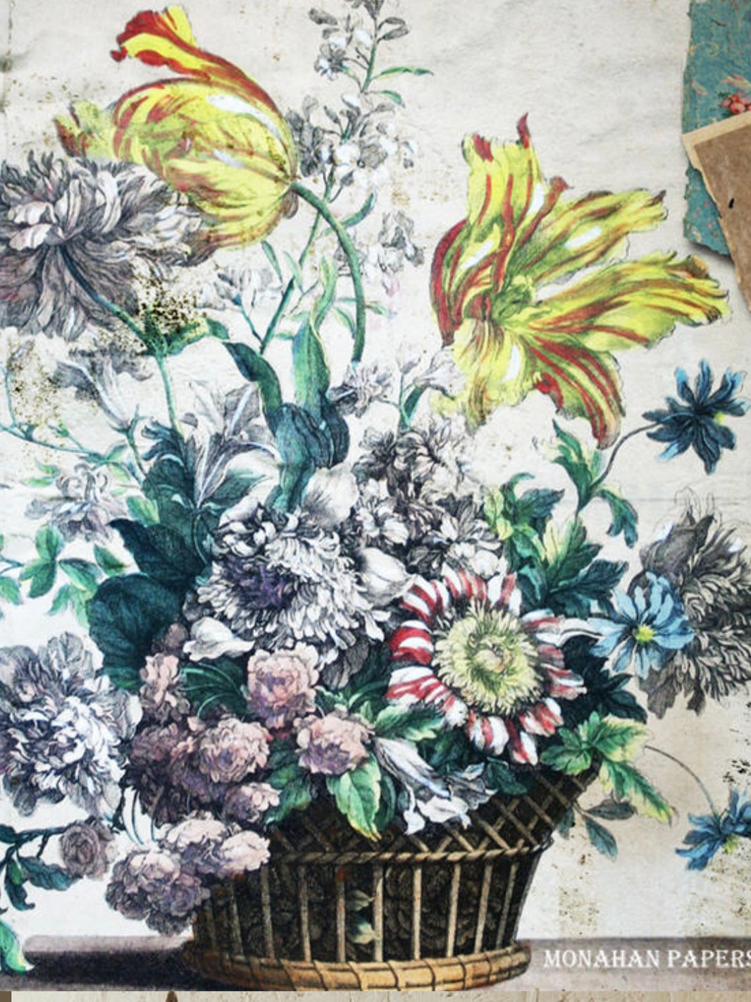 Floral (004) SPS1557