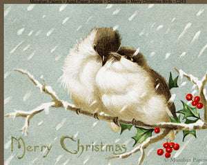 Merry Christmas Birds C243