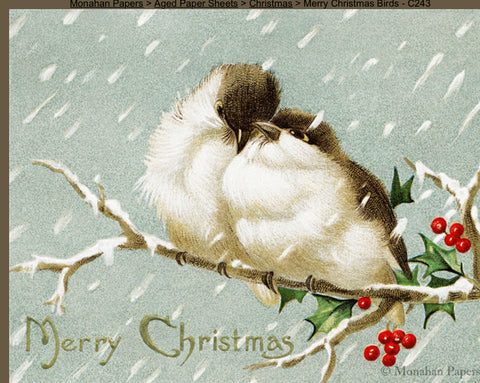 Merry Christmas Birds C243