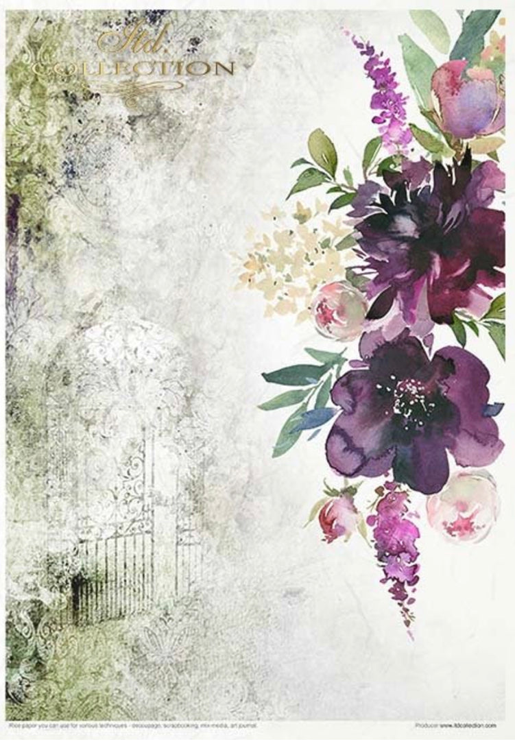 Garden of Dreams, pack of 11 size A4