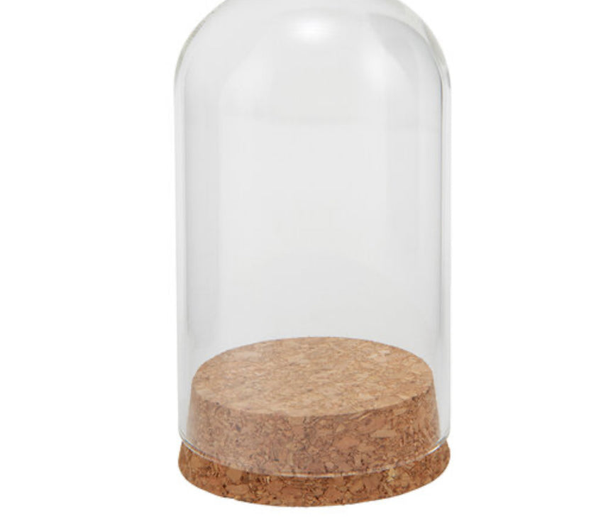 Tim Holtz Display Dome