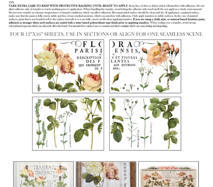 Flora Parisiensis IOD Transfer