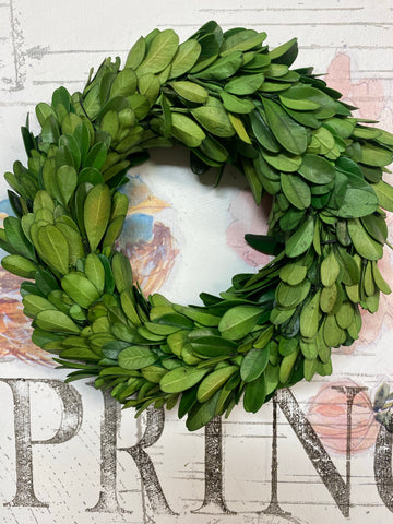 Preserved Boxwood Wreath 6”