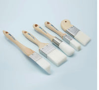 BEST OF ZIBRA PAINTBRUSH KIT-5 PIECE