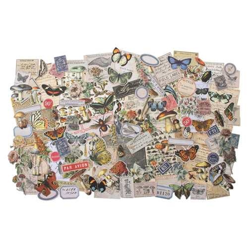 Tim Holtz  Ephemera Pack FIELD NOTES