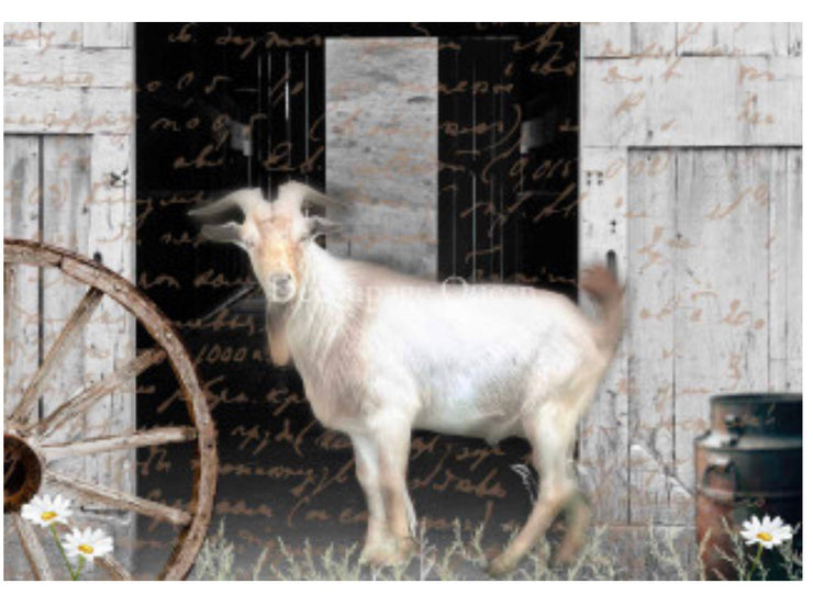 Flipping Furniture Billy