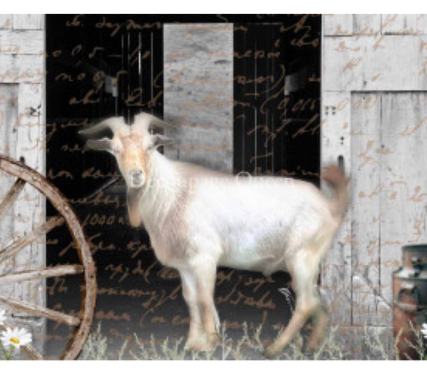 Flipping Furniture Billy