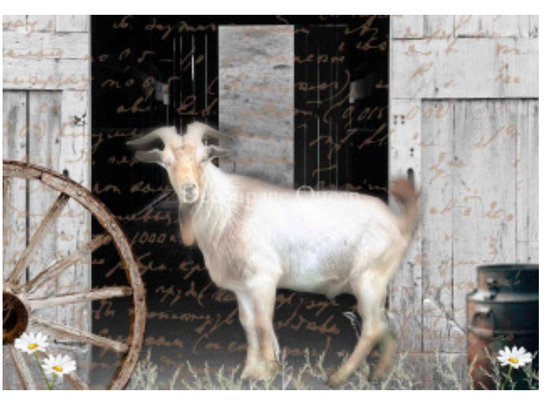 Flipping Furniture Billy