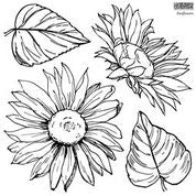 Sunflower Stamp IOD Décor Stamp