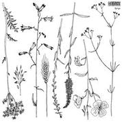 Sprigs IOD Décor Stamp