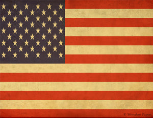 US 50 Star Flag X370
