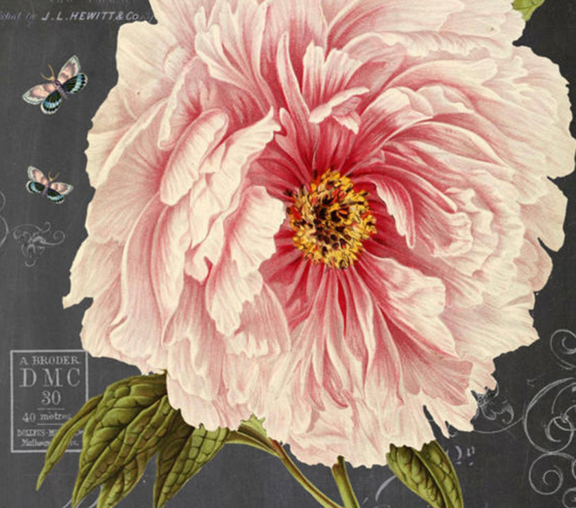 Botanical 203 (028) BOT203