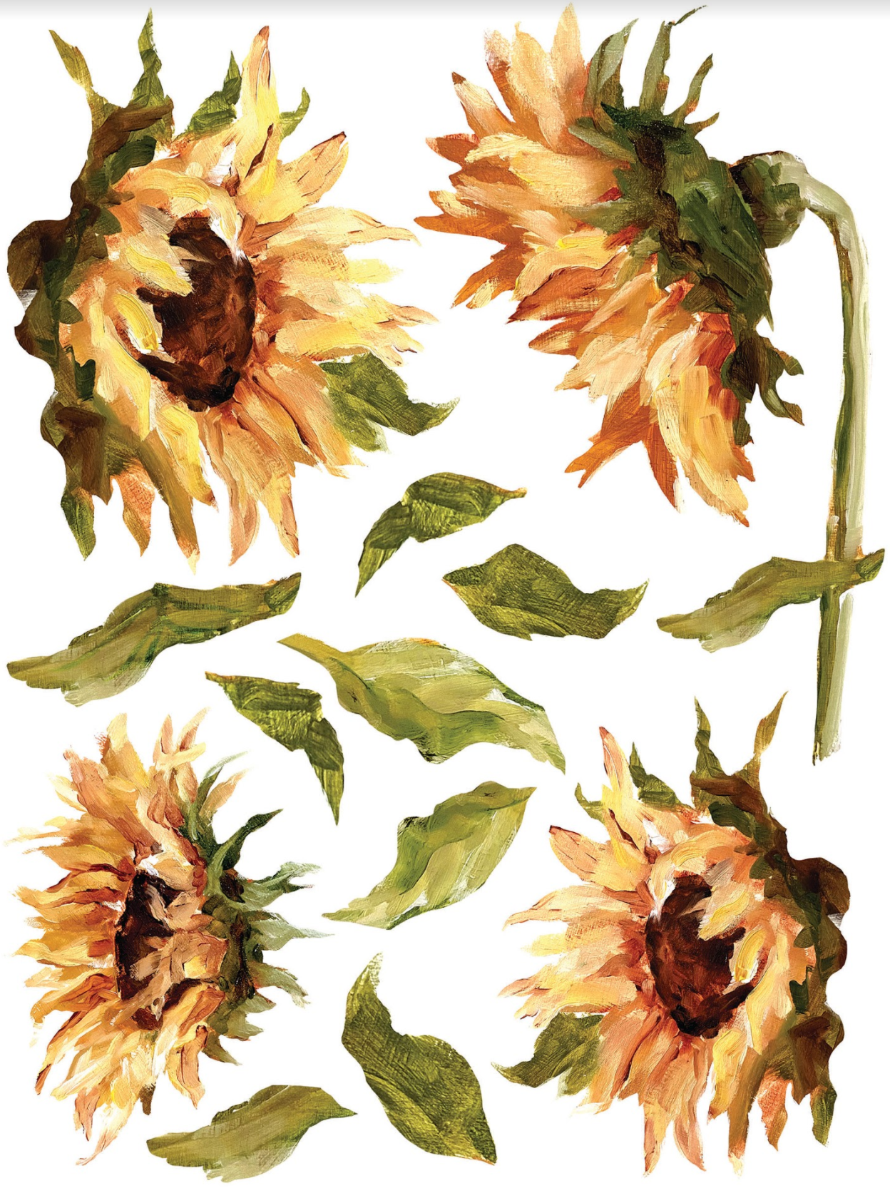 Painterly Florals IOD Transfer