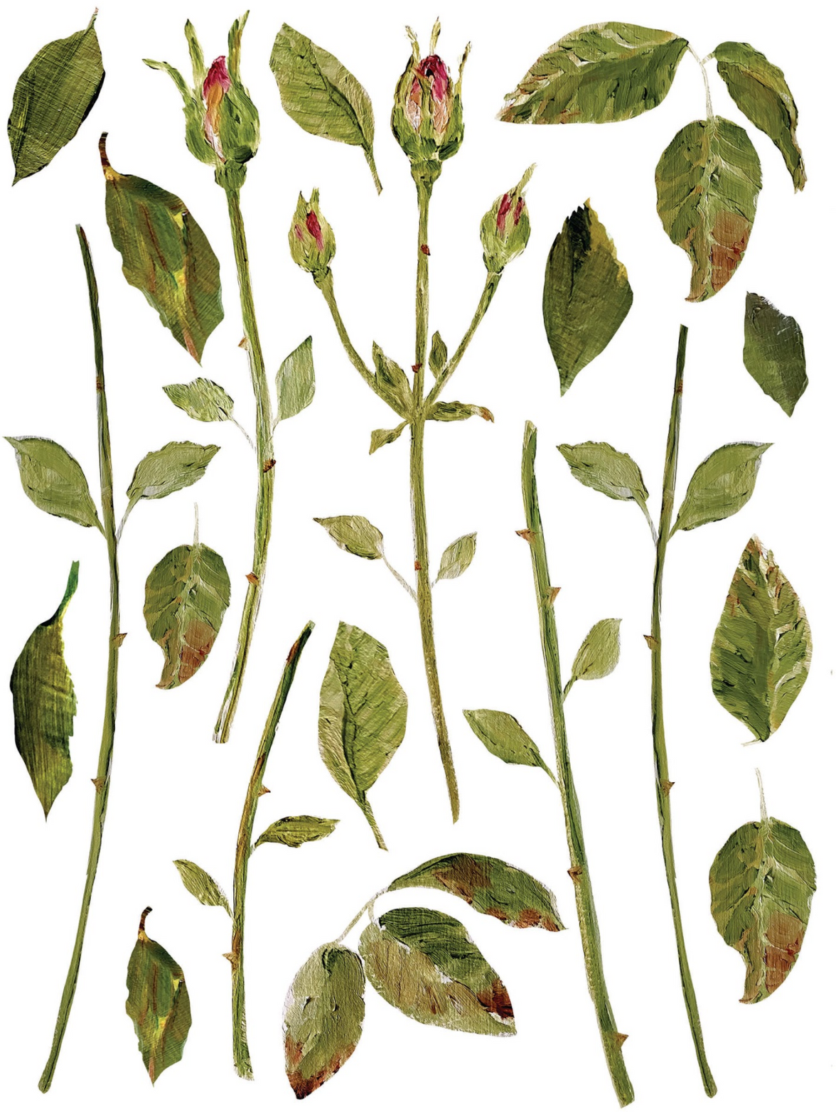 Painterly Florals IOD Transfer