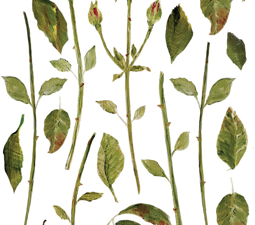 Painterly Florals IOD Transfer