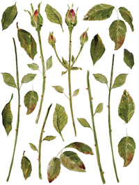 Painterly Florals IOD Transfer