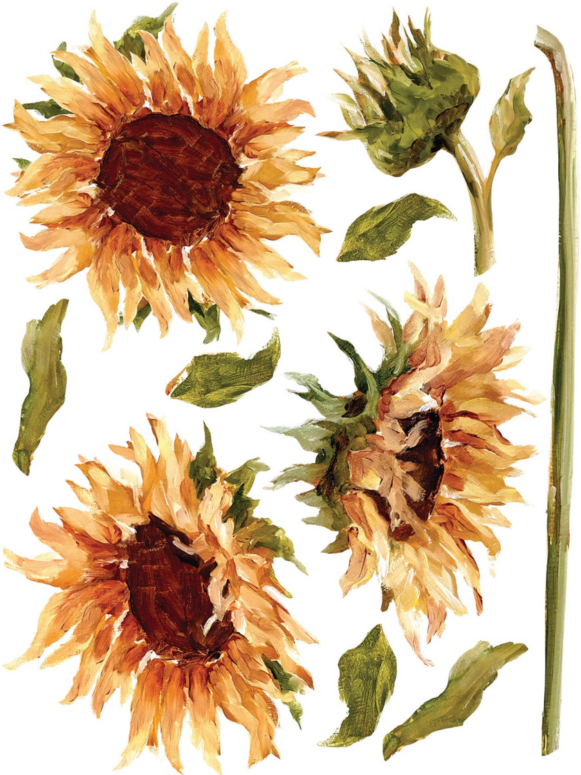 Painterly Florals IOD Transfer