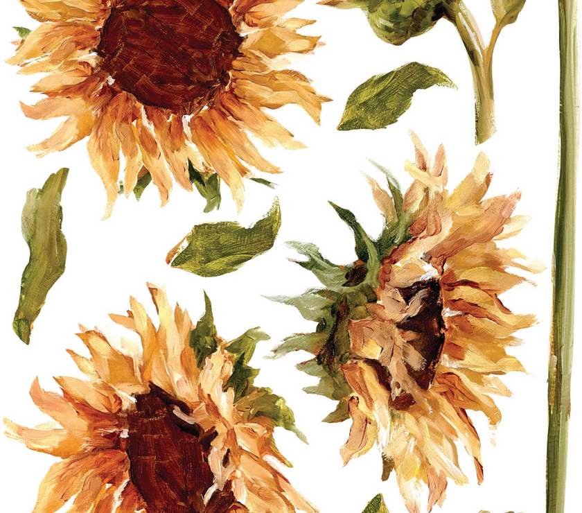 Painterly Florals IOD Transfer