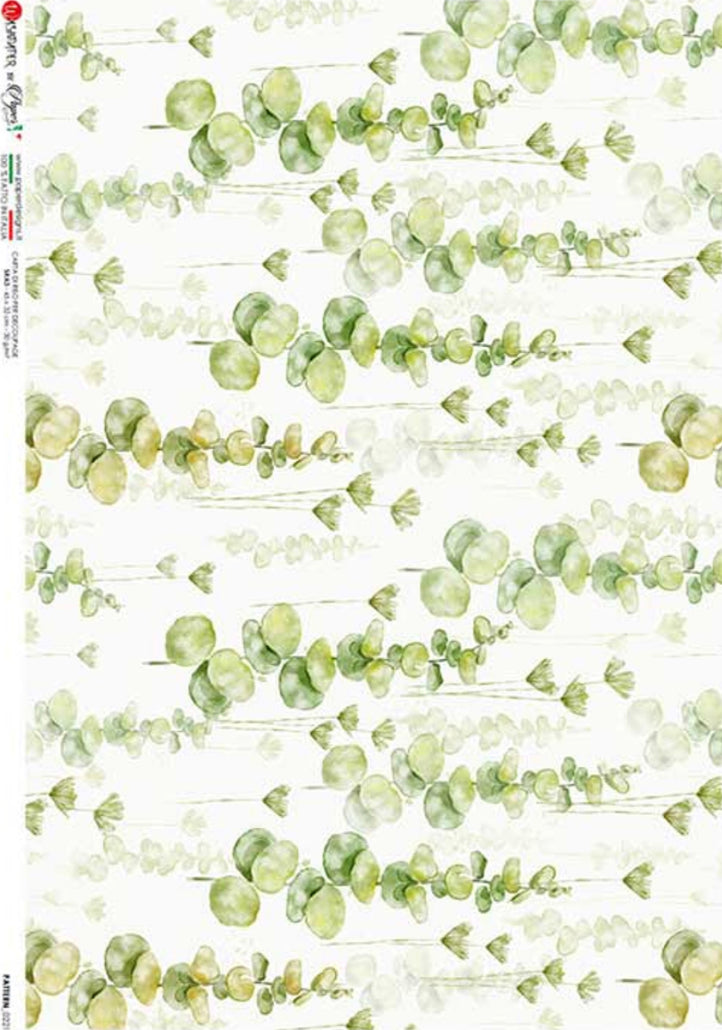 Green Eucalyptus 0221