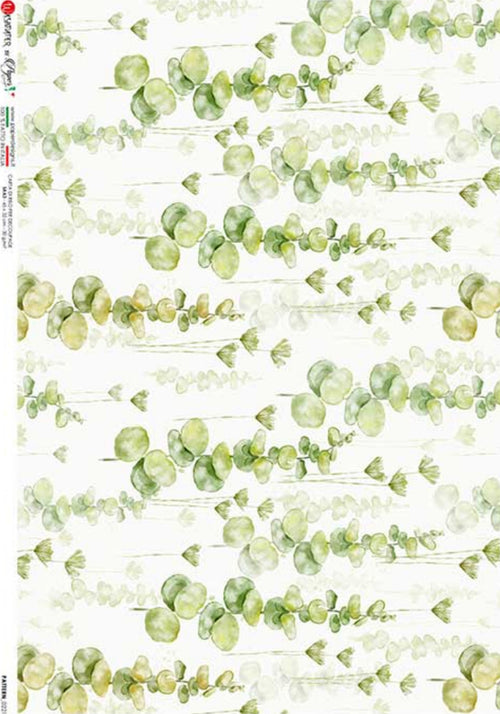 Green Eucalyptus 0221