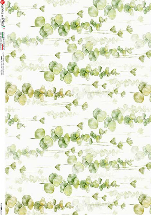 Green Eucalyptus 0221