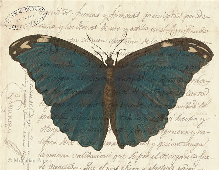 Blue Butterfly (020) X487