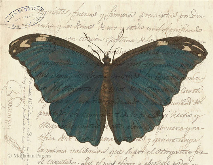 Blue Butterfly (020) X487