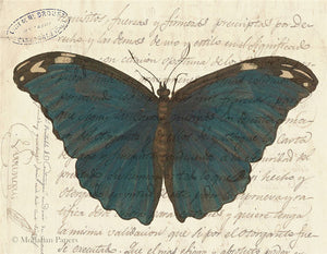 Blue Butterfly X487