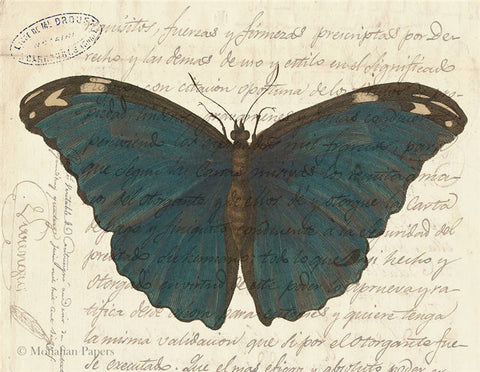 Blue Butterfly X487