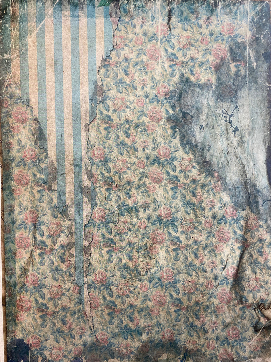 Monahan Blue (037) SPS1711