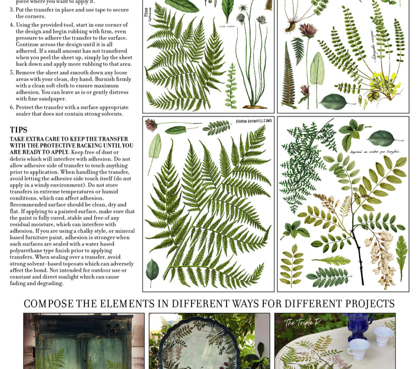 Fronds Botanical IOD Transfer