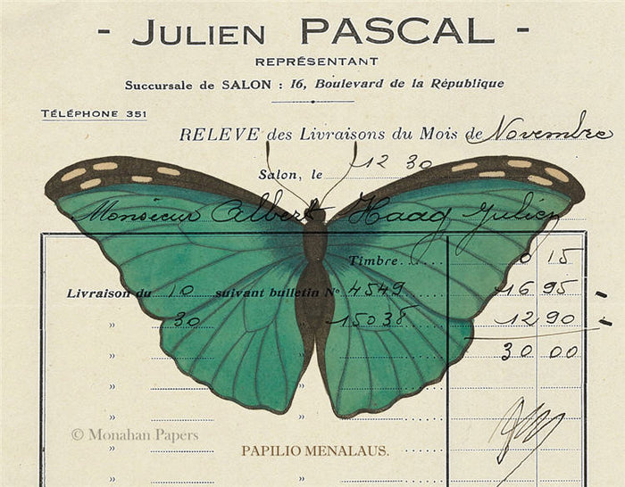 Teal Butterfly (020) X483