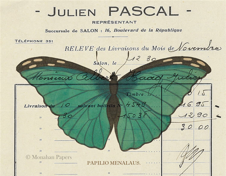 Teal Butterfly (020) X483