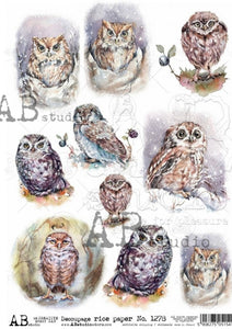 Watercolor Owls 1278
