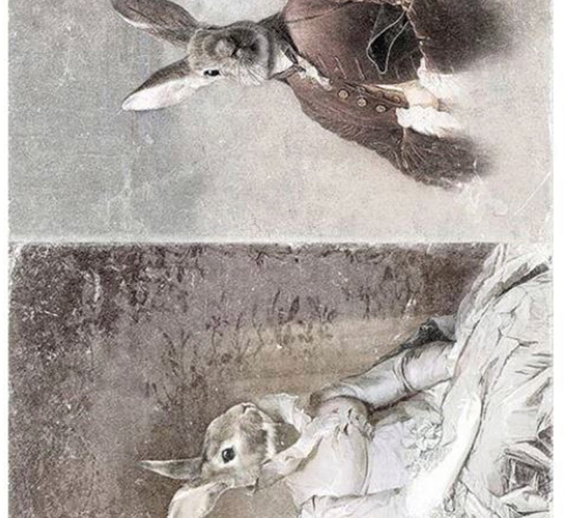 Bunny Portraits IV R1812