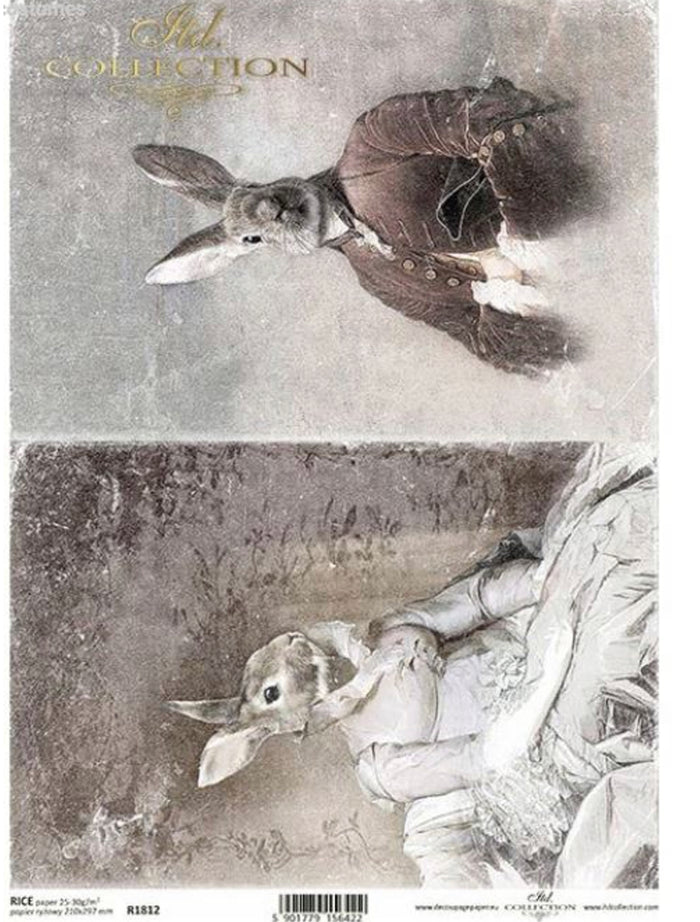 Bunny Portraits IV R1812