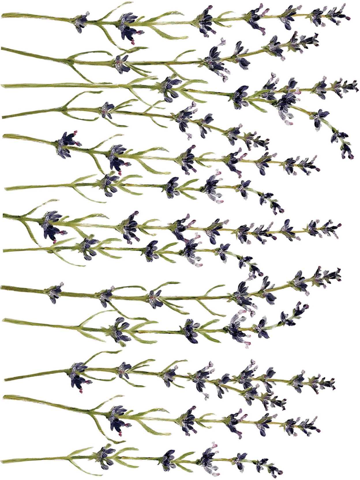 Painterly Florals IOD Transfer