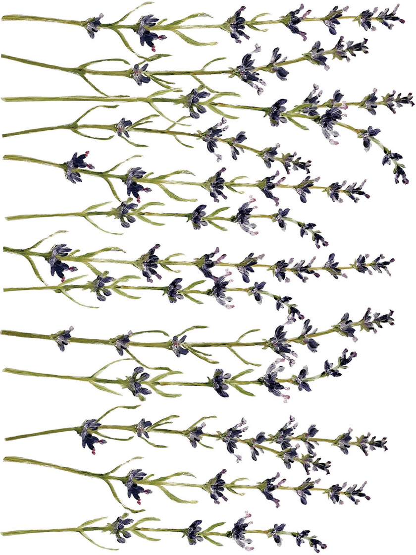 Painterly Florals IOD Transfer