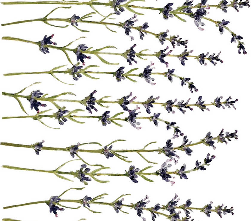 Painterly Florals IOD Transfer