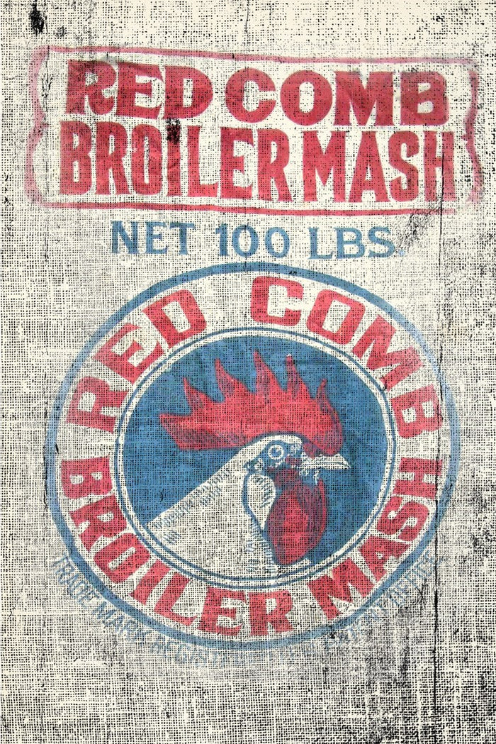 Roycycled Chicken Scratch, design by Roycycled, apparel & accessories > clothing, for decoupage and crafting